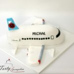 tort samolot pasażerski