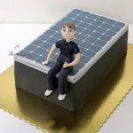 tort panele słoneczne