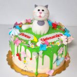 tort z kotkiem na łące